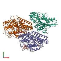 PDB entry 2p4n coloured by chain, front view.