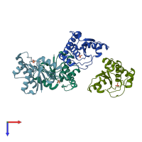 PDB entry 2p4u coloured by chain, top view.