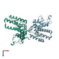 PDB entry 2p4x coloured by chain, top view.