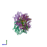 PDB entry 2p5t coloured by chain, side view.