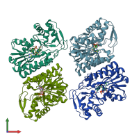 PDB entry 2p5u coloured by chain, front view.