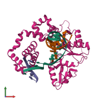 PDB entry 2p66 coloured by chain, front view.