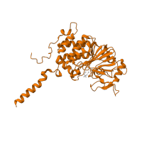 The deposited structure of PDB entry 2p6b contains 2 copies of CATH domain 3.60.21.10 (Purple Acid Phosphatase; chain A, domain 2) in Protein phosphatase 3 catalytic subunit alpha. Showing 1 copy in chain B [auth A].