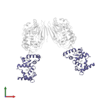 Calcineurin subunit B type 1 in PDB entry 2p6b, assembly 1, front view.