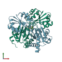 PDB entry 2p6i coloured by chain, front view.