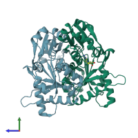 PDB entry 2p6i coloured by chain, side view.