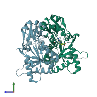 PDB entry 2p6l coloured by chain, side view.