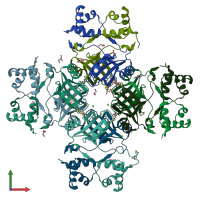 PDB entry 2p6s coloured by chain, front view.