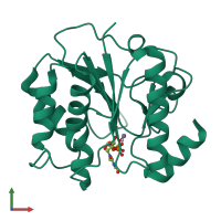 PDB entry 2p73 coloured by chain, front view.