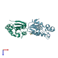 PDB entry 2p78 coloured by chain, top view.