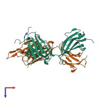 PDB entry 2p8l coloured by chain, top view.