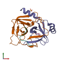 PDB entry 2p8o coloured by chain, front view.
