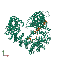 PDB entry 2p8q coloured by chain, front view.