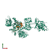 PDB entry 2p8w coloured by chain, front view.