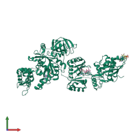 PDB entry 2p8y coloured by chain, front view.