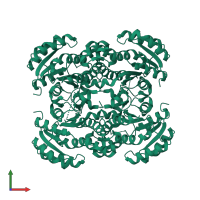 Homo tetrameric assembly 1 of PDB entry 2p91 coloured by chemically distinct molecules, front view.