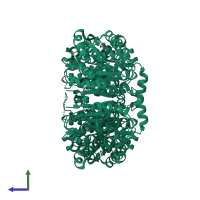 Homo tetrameric assembly 1 of PDB entry 2p91 coloured by chemically distinct molecules, side view.