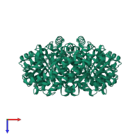 Homo tetrameric assembly 1 of PDB entry 2p91 coloured by chemically distinct molecules, top view.
