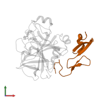 Factor X light chain in PDB entry 2p95, assembly 1, front view.