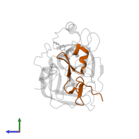 Factor X light chain in PDB entry 2p95, assembly 1, side view.