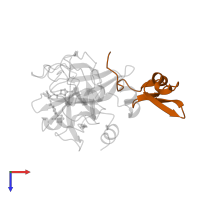 Factor X light chain in PDB entry 2p95, assembly 1, top view.