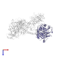 Actin-related protein 2/3 complex subunit 1B in PDB entry 2p9k, assembly 1, top view.