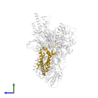 Actin-related protein 2/3 complex subunit 4 in PDB entry 2p9k, assembly 1, side view.