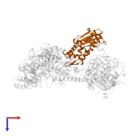 Actin-related protein 2 in PDB entry 2p9l, assembly 1, top view.