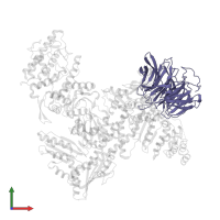 Actin-related protein 2/3 complex subunit 1B in PDB entry 2p9l, assembly 1, front view.