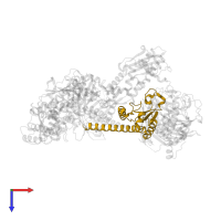 Actin-related protein 2/3 complex subunit 4 in PDB entry 2p9l, assembly 1, top view.