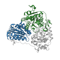 The deposited structure of PDB entry 2pan contains 12 copies of CATH domain 3.40.50.970 (Rossmann fold) in Glyoxylate carboligase. Showing 2 copies in chain A.