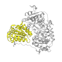 The deposited structure of PDB entry 2pan contains 6 copies of Pfam domain PF02776 (Thiamine pyrophosphate enzyme, N-terminal TPP binding domain) in Glyoxylate carboligase. Showing 1 copy in chain A.