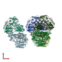 PDB entry 2pan coloured by chain, front view.