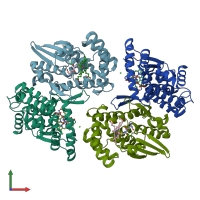 PDB entry 2pbj coloured by chain, front view.
