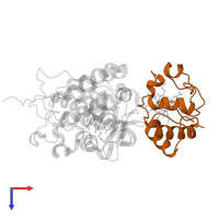 Cytochrome c isoform 1 in PDB entry 2pcc, assembly 1, top view.