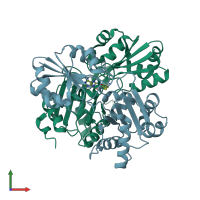 PDB entry 2pck coloured by chain, front view.