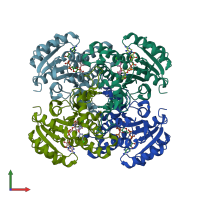 PDB entry 2pd4 coloured by chain, front view.