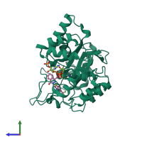 PDB entry 2pd5 coloured by chain, side view.