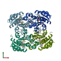 PDB entry 2pd6 coloured by chain, front view.