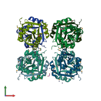 PDB entry 2pdo coloured by chain, front view.
