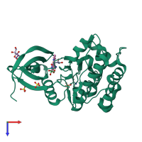 PDB entry 2pe1 coloured by chain, top view.