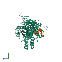 PDB entry 2pe4 coloured by chain, side view.