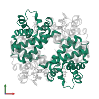 Hemoglobin subunit alpha in PDB entry 2peg, assembly 1, front view.