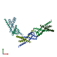 PDB entry 2pek coloured by chain, front view.