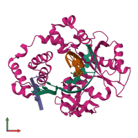 PDB entry 2pfq coloured by chain, front view.