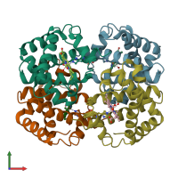 3D model of 2pgh from PDBe