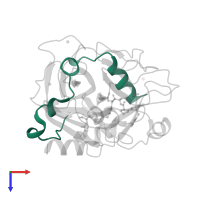 Thrombin light chain in PDB entry 2pgq, assembly 1, top view.