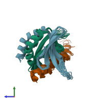 PDB entry 2phe coloured by chain, ensemble of 10 models, side view.