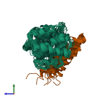 PDB entry 2phg coloured by chain, ensemble of 10 models, side view.