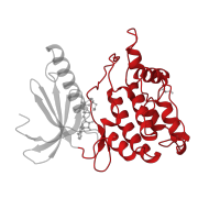 The deposited structure of PDB entry 2phk contains 1 copy of CATH domain 1.10.510.10 (Transferase(Phosphotransferase); domain 1) in Phosphorylase b kinase gamma catalytic chain, skeletal muscle/heart isoform. Showing 1 copy in chain A.